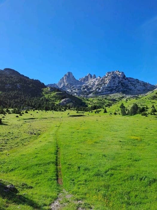 Hiking